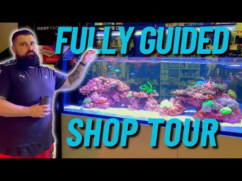 LFS Tour - Lifestyle Aquariums and Reptiles