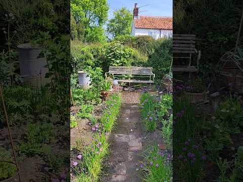 Friday 10th May; the suns out and the birds are singing. It's a joy pootling in the garden in spring