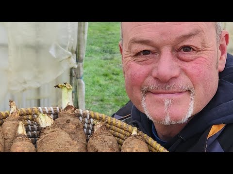 Le direct du 29 décembre avec vous tous!