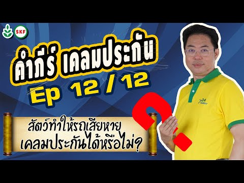 #ศรีกรุงโบรคเกอร์ #โค้ชนที คัมภีร์ เคลมประกัน Ep12 12  สัตว์ทำให้รถเสียหาย เคลมได้หรือไม่