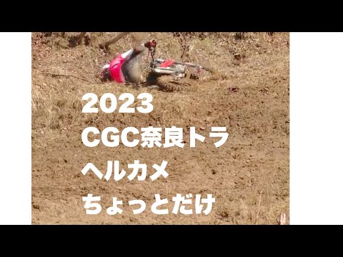 2023年CGC奈良トラ　ゲロゲロ　ヘルカメ　ちょっとだけ