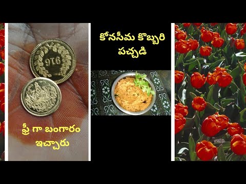 Konaseema kobbari pachadi in telugu vlog