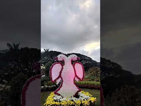 Flower show 2024✨ #mysore #new #mysorepalace #mysorenews  #trending #viralshort #viralvideo