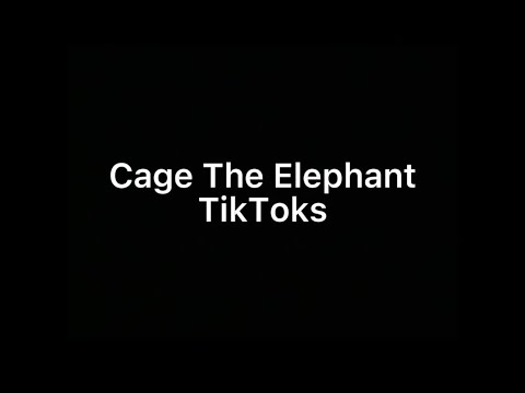 Cage The Elephant TikTok's