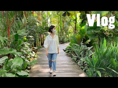 Vlog. A flowering tree is a happy tree | Current 'to-read' books | Plain Vanilla Bakery | doo daily