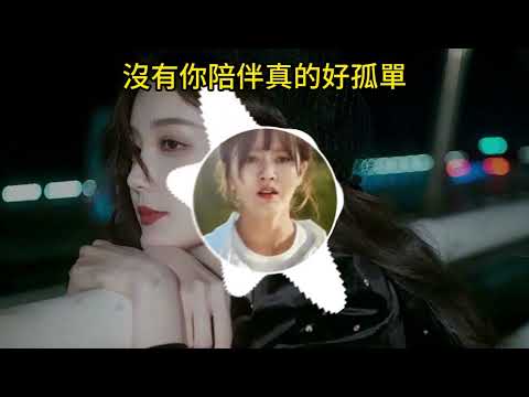 HǎiNán (Beat Whirl) 沒有你陪伴真的好孤單 - 夢然 《現場版》Chill