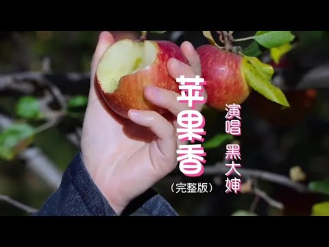 黑大婶回乡带娃演唱的《苹果香》完整版，撕心裂肺的歌声富有磁性