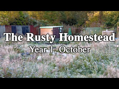 The Rusty Homestead in October, Year 1