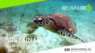 Gelflex-EB: The Most Sustainable CI Flexo Ink