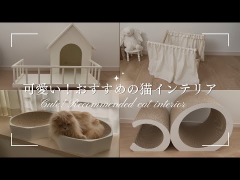 【猫専用部屋】おすすめ！おしゃれな猫インテリア6選🧺