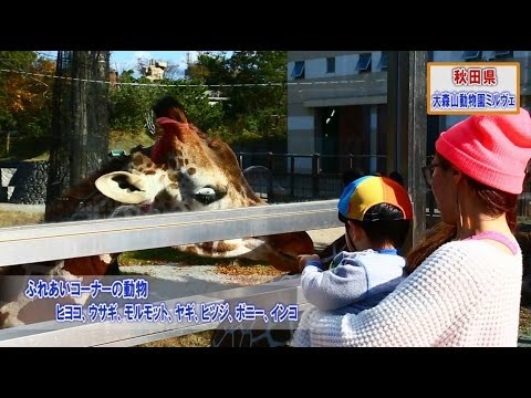 【大森山動物園ミルヴェ】触れるヴェ、癒されるヴェ／ご当地観光課のいいね！vol.23（秋田市）