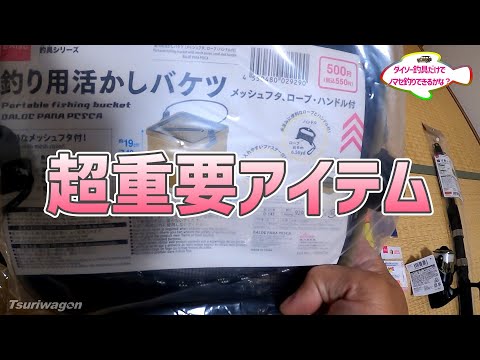 【DAISO Fishing】ダイソー釣具だけで青物に挑んでみた daiso fishing