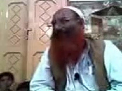 sheikh ALBANI or bin BAAZ ko kabr e rasool HADEES per ILMI JAWAB by Hafiz Zubair Ali Zai