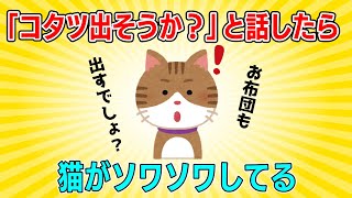 【2chほっこり】猫が「こたつ」という単語を理解していた！