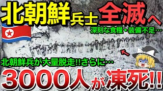 【ゆっくり解説】北朝鮮軍3000人が凍死・・さらに北朝鮮軍クルスクで大量脱走！【ゆっくり軍事プレス】