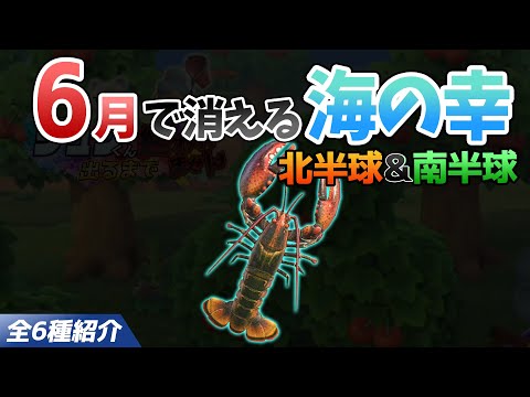 【あつ森】6月で消える海の幸を全て紹介！出現時間や影のサイズ・値段・捕まえ方のコツも徹底解説！ロブスターやイセエビ、オウムガイなどレアを効率よく捕る方法【あつまれどうぶつの森　6月海の幸図鑑コンプ】