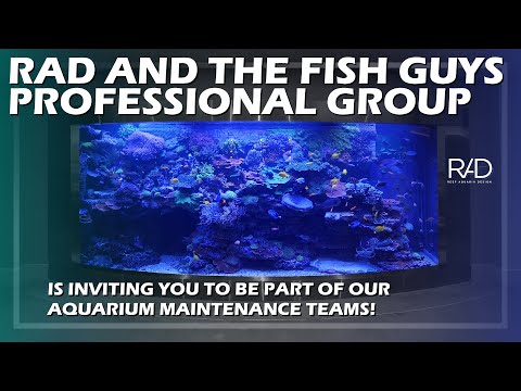 RAD AND THE FISH GUYS PROFESSIONAL GROUP IS INVITING YOU TO BE PART OF THE AQUARIUM MAINTENANCE TEAM