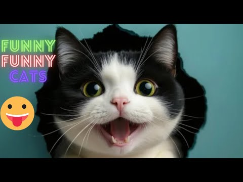 Funny Cat Videos 😹 Funny Cat Videos Try Not To  Laugh 😺 Funniest Cat Videos in The World😂 😹 Part 119