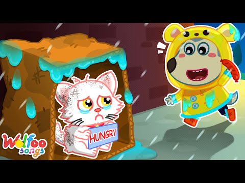 Don't be Sad, Super Kitty! - Emotional Pets Songs | Kids Songs & Nursery Rhymes @WolfooFamilySongs