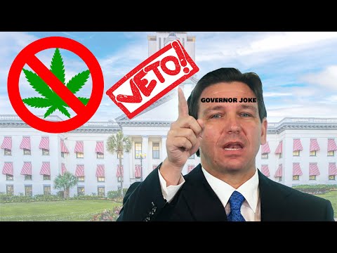 Does DeSantis Veto?