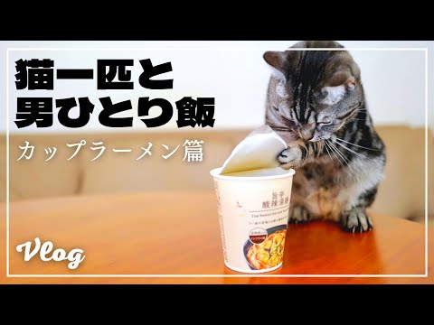 In the absence of my wife, I sipped on a cup of noodles while being watched over by my cat.[Vlog]