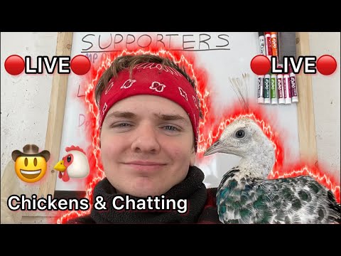 🔴Joseph Is LIVE!🤠