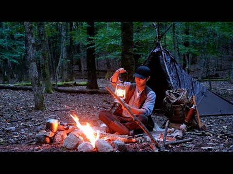 SOLO Bushcraft Camping in Wild Forest