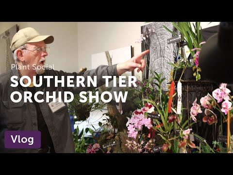 Southern Tier ORCHID SOCIETY Show — Vlog 061