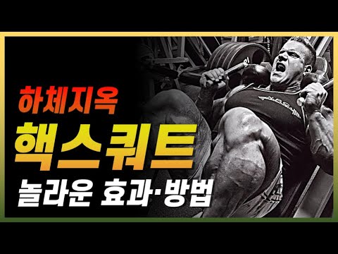 핵스쿼트가 놀라운 하체 운동인 이유와 효과 (정확한 방법과 자세)