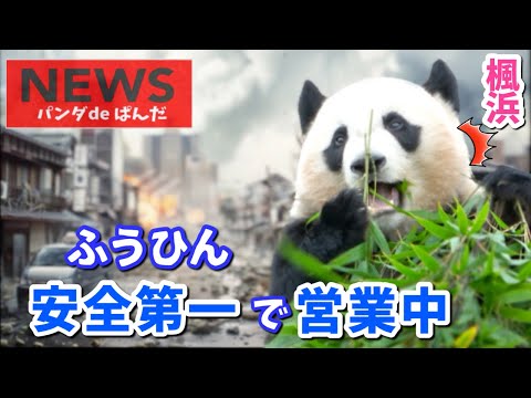 【パンダアイドル楓浜】安心して来園してね🐼アドベンチャーワールド近況情報