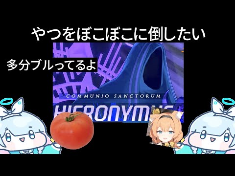 今回のヒエロは倒す、震えて待つがいい【ブルアカ】セイアを希うブルアカ日記494