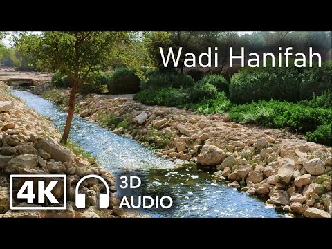 Relaxing Walk in Wadi Hanifah in Riyadh During Rainy Season (Binaural Audio)