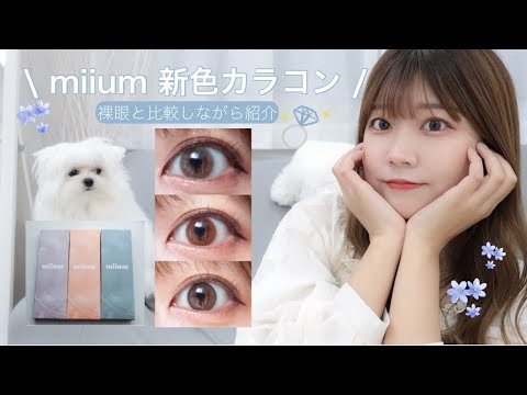 【miium新色カラコン】裸眼と比較👀透明感×垢抜け💎