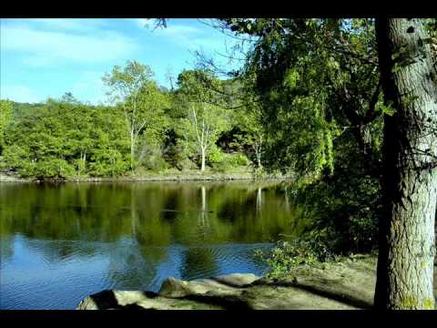 Damien Dubois - La forêt d'érymanthe