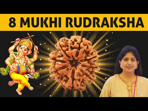 8 Mukhi Rudraksha | Achieve Riddhi (Wealth), Siddhi (Powers) & Buddhi (Intellect) | Awaken Kundalini