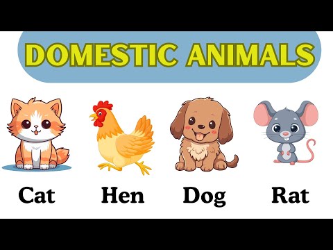 Domestic Animals Name | Pet Animals in English For Kid| Educational Videos |Preschool Videos