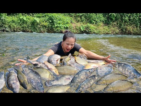 Taking Daughter to School & How to Harvest a School of Stream Fish to Sell at Market