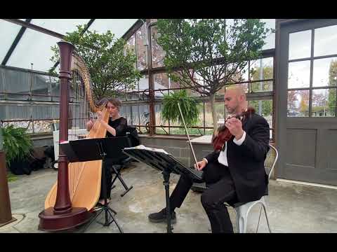 I See The Light - harp and violin duo ~ Tiffany Jones, harpist