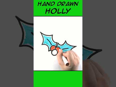 Hand Drawn Holly