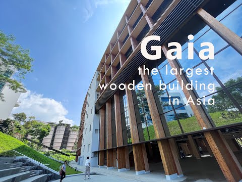 Gaia - New Building at Nanyang Technological University | The largest wooden building in Asia 南大新建筑