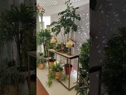 Home decor ideas with plants #homedecor #plants #ytshort #shorts #trendingshorts #viralshort #song