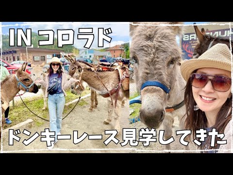 【＃アメリカ生活】ドンキーレース！？　ーコロラド州ー