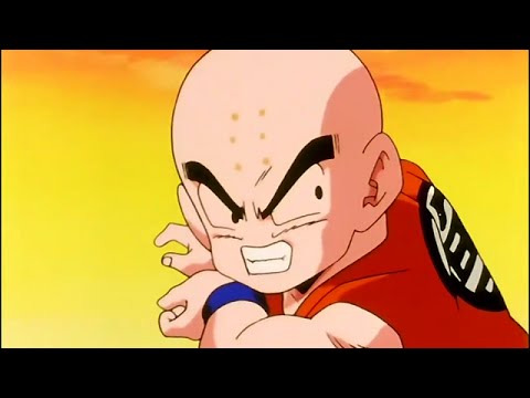 TOP 10 KRILLIN HIGHLIGHTS