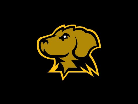 UMBC Fight Song- "UMBC Riser"