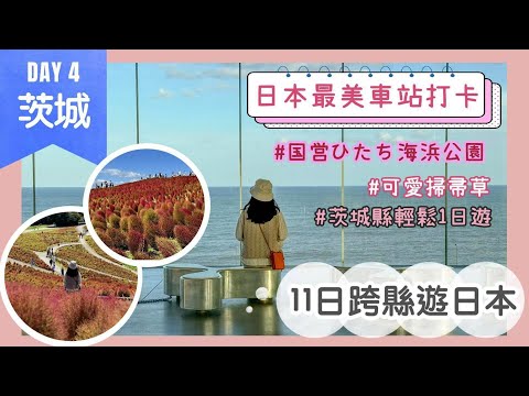 【茨城縣自由行．完美打卡一日遊】國營日立海濱公園 超可愛紅色掃帚草❤️｜絕美玻璃屋車站 日立站打卡｜11日跨縣遊日本Day4｜全國JR PASS行程｜NAT GO JAPAN