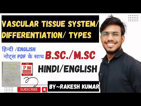 vascular tissue system ।vascular tissue differentiation । vascular tissue system in hindi #bsc #msc