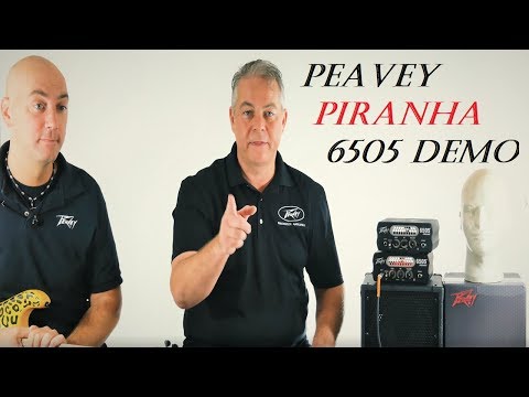 Peavey Piranha 6505 Mini Head Demo