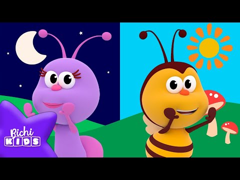 La Luna y el Sol | @Bichikids 🐝Canción de los Opuestos🐞 Canciones para niños | El Reino Infantil