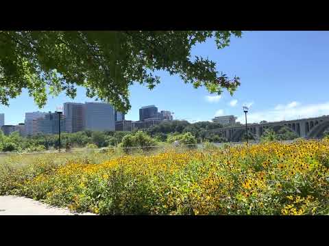 星期六下午在河边喂小鸟 /Saturday afternoon by the river