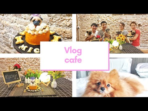 [#vlog] Relish The Moment cafe Vlog (doggie's day)